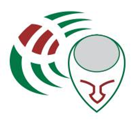 Mind Merge Data Recovery