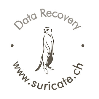 Suricate Solutions sarl